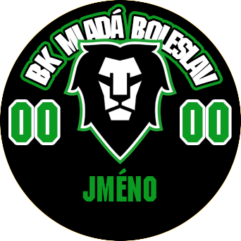 BK Mladá Boleslav home
