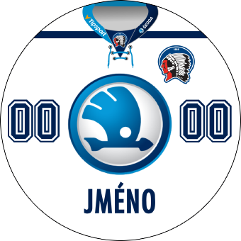 HC Škoda Plzeň home