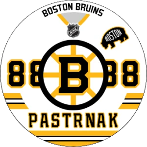 Boston Bruins